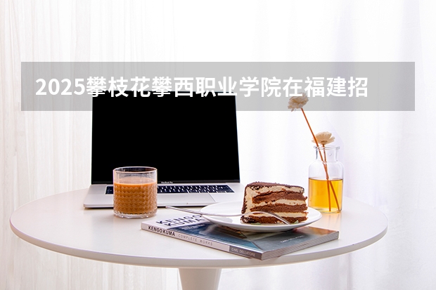 2025攀枝花攀西职业学院在福建招生计划（招生人数）