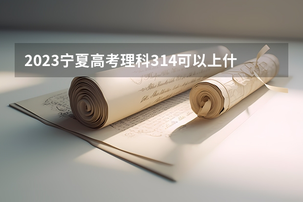 2023宁夏高考理科314可以上什么大学