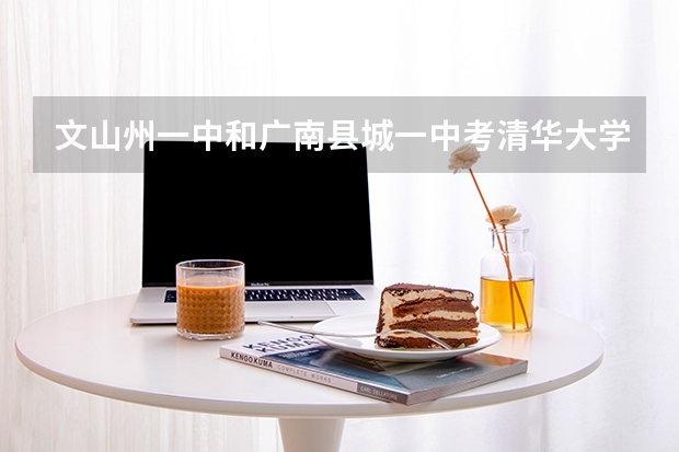 文山州一中和广南县城一中考清华大学的概率是多少
