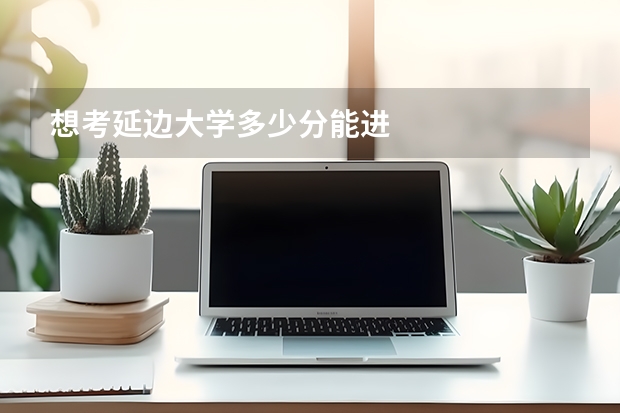 想考延边大学多少分能进