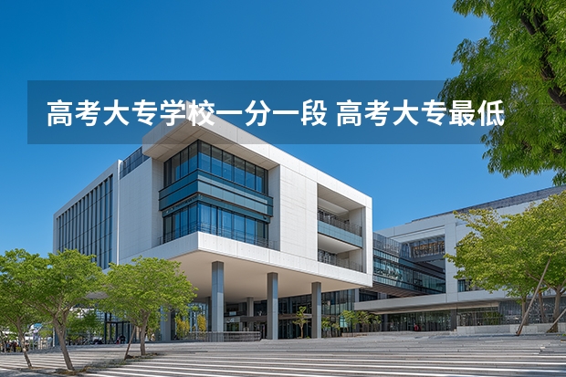 高考大专学校一分一段 高考大专最低录取线