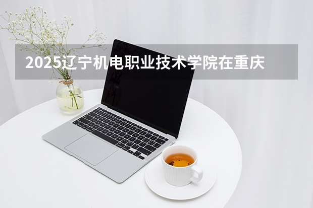 2025辽宁机电职业技术学院在重庆招生计划（招生人数）