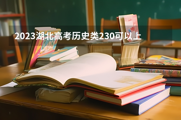 2023湖北高考历史类230可以上什么大学