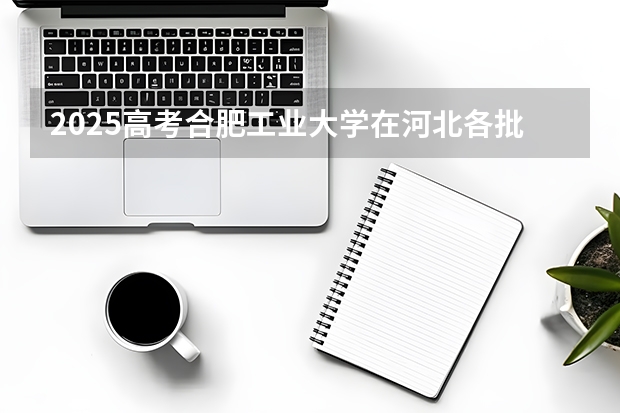 2025高考合肥工业大学在河北各批次选科要求一览
