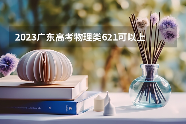 2023广东高考物理类621可以上什么大学