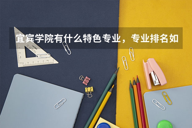 宜宾学院有什么特色专业,专业排名如何