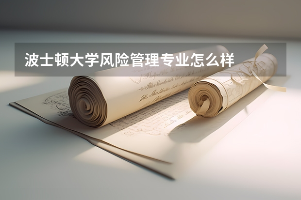 波士顿大学风险管理专业怎么样