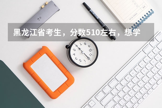 黑龙江省考生,分数510左右,想学新闻系,有哪些大学可选择?
