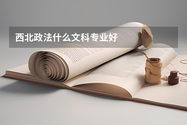 西北政法什么文科专业好