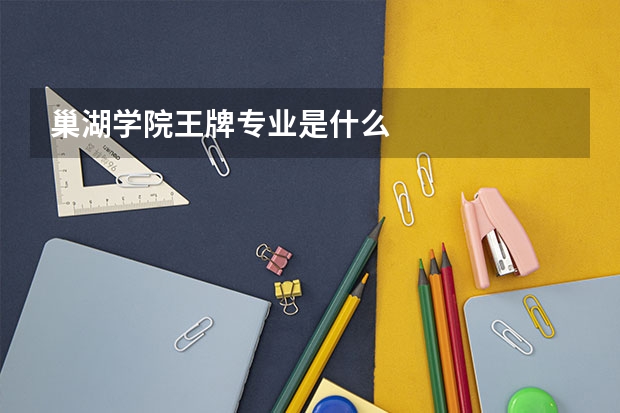 巢湖学院王牌专业是什么