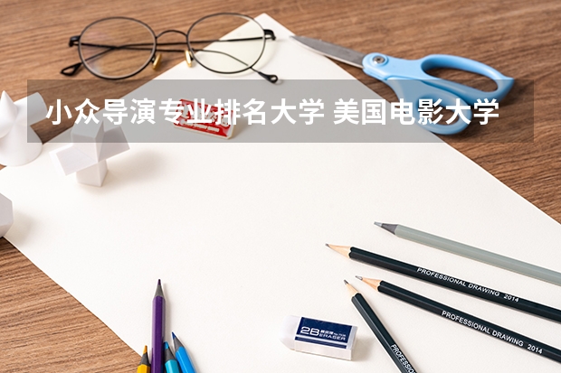 小众导演专业排名大学 美国电影大学排名