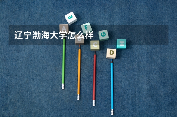 辽宁渤海大学怎么样