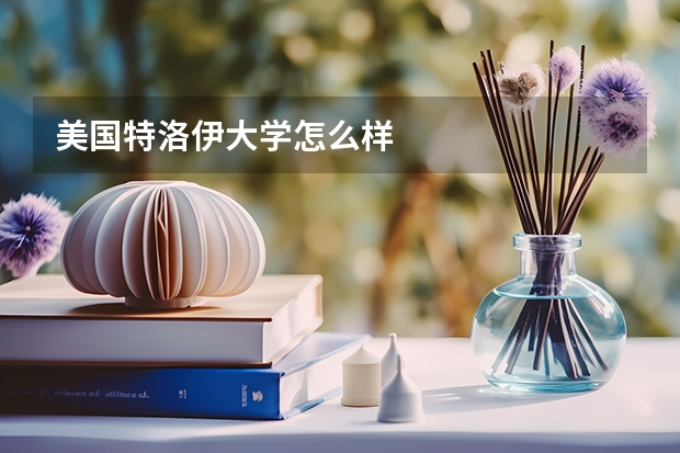 美国特洛伊大学怎么样